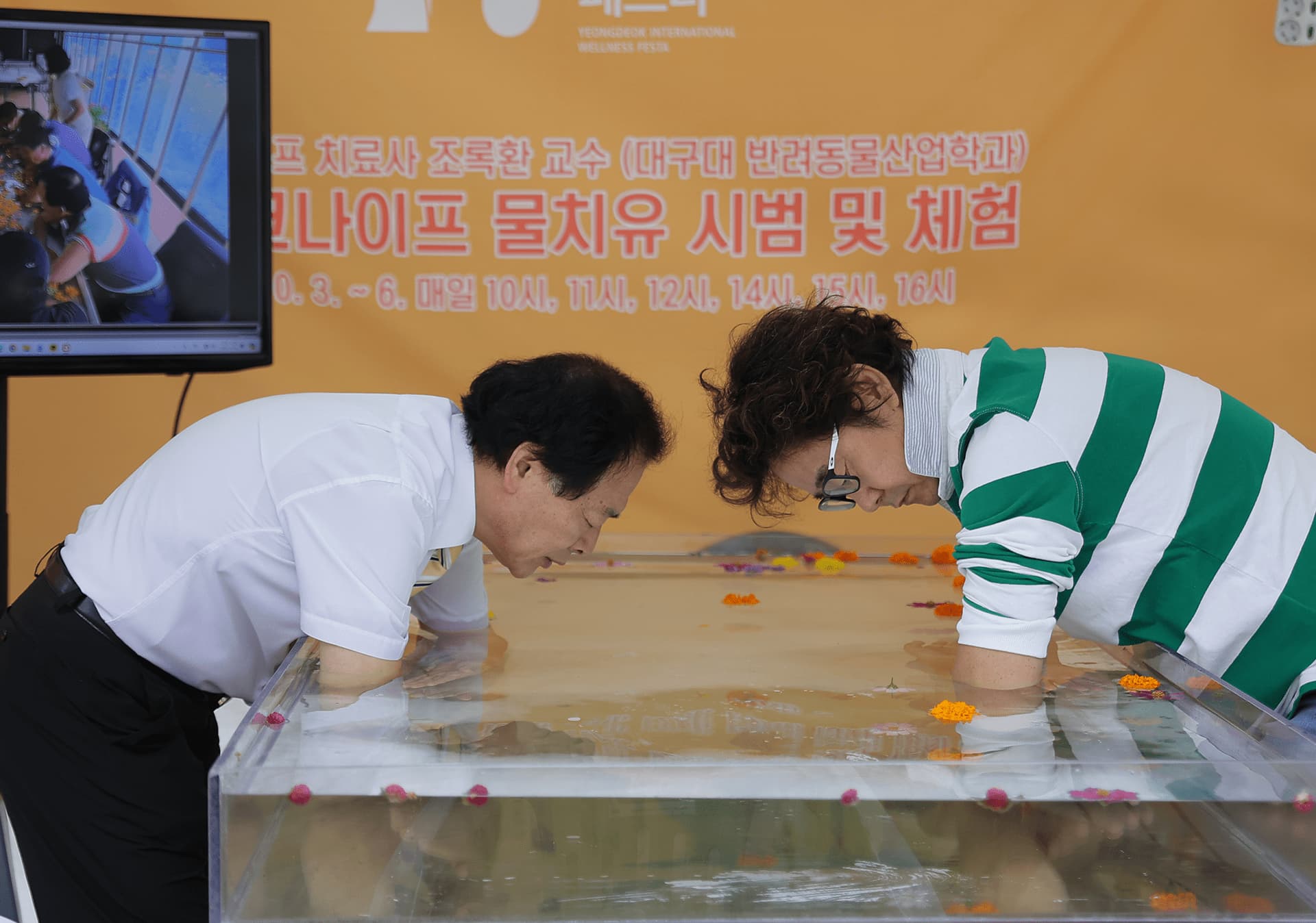 독일 크나이프 체험